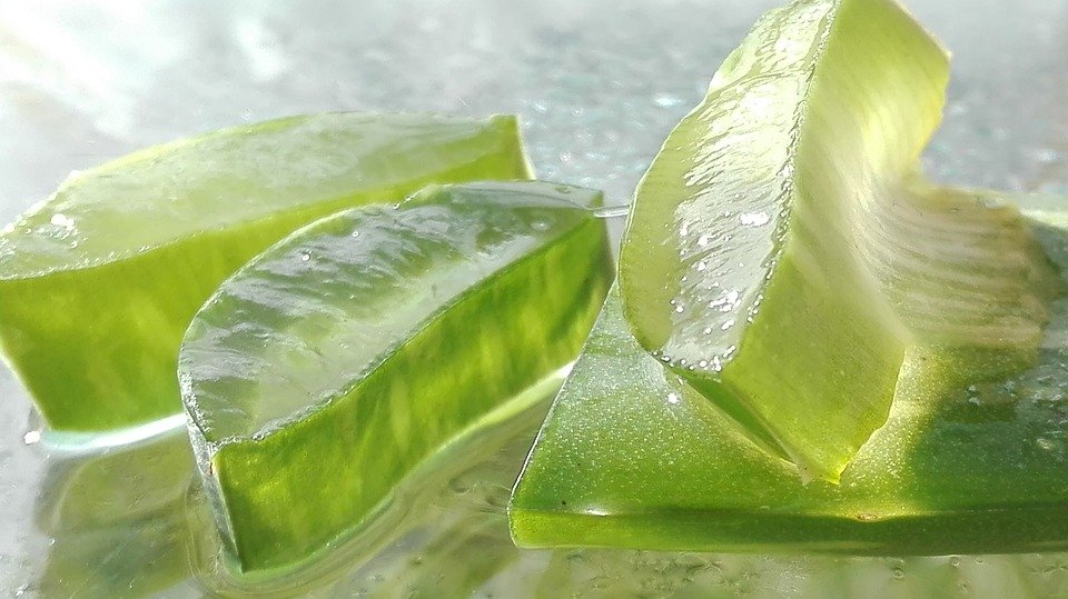 gel aloe vera