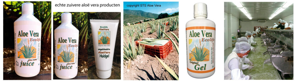 aloes, aloa, aloe - Ecolife naturals 100 %